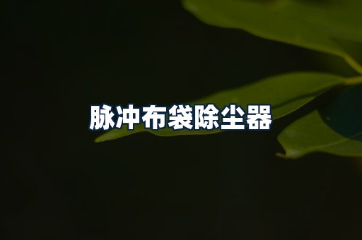 脉冲布袋除尘器